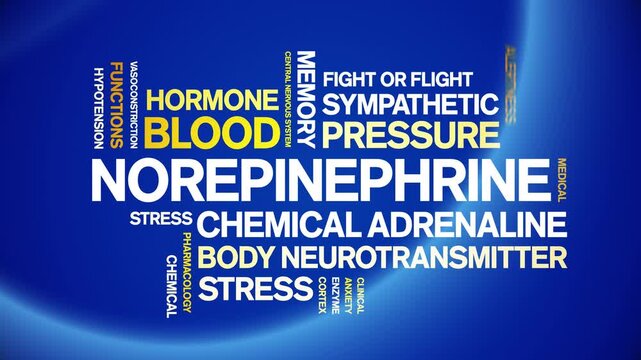 Norepinephrine animated word cloud-text design animation tag kinetic typography seamless loop.