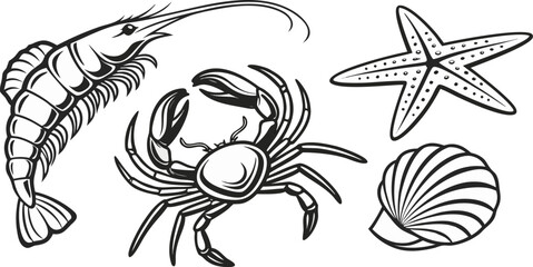 Fototapeta premium A detailed monochrome illustration featuring various marine creatures. The composition includes a shrimp in the upper left, angled toward the left, alongside a smaller shrimp in the middle, and a crab