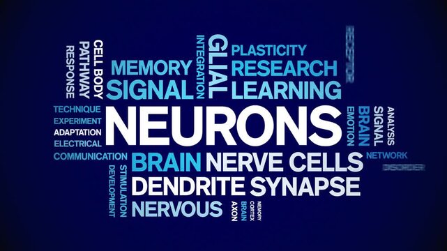 Neurons animated word cloud-text design animation tag kinetic typography seamless loop.