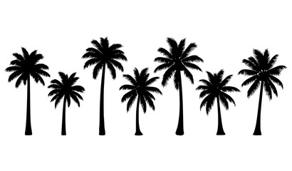 Obraz premium Palm tree silhouettes set tropical black vector collection isolated on white background