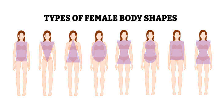 Different types of female body shapes types. Woman body shapes classification set collection. hourglass, pear, rectangle, apple, and inverted triangle. Female figures for fashion, beauty, clothing use