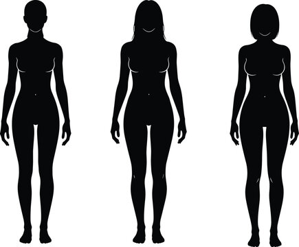 Female body silhouettes collection, front view human anatomy shapes, different body types women, isolated figures minimal vector illustration set