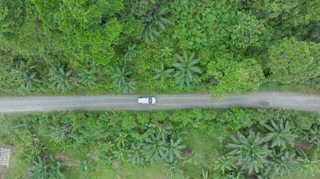 Aerial drone footage of a road winding through dense tropical forest in Indonesia at an oblique angle. Reflects the landscape reality of rural areas across Sulawesi, Kalimantan, and Sumatra, where nar