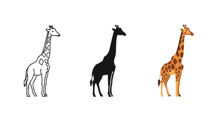 Fototapeta premium A set of three giraffe illustrations showing outline, solid black silhouette, and colorful style Vector