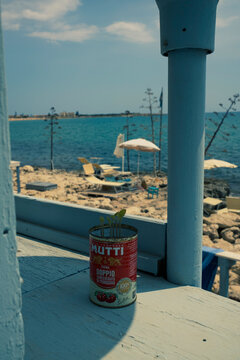 A branded Mutti tomato can reused as a small planter sits on a seaside window ledge overlooking sunbeds, umbrellas and calm blue water in a coastal summer setting.