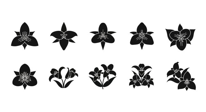 Trillium Flower Vector Illustration | Woodland Wildflower Botanical Artwork | Elegant Nature Floral Design