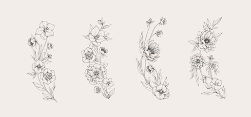 Hellebore flowers arcs with detailed various foliage, intricate details and delicate forms. Elegant floral design elements. Hand drawn illustration © merfin