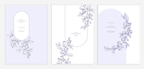 Set of card with blueberry hand drawn berry and brunch. Detailed template layout design, brochure or cover for Valentines day or wedding invitation © merfin