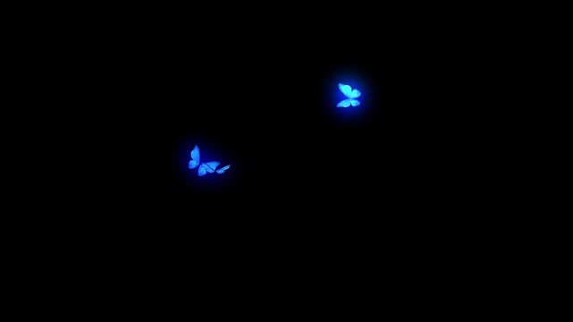 night glowing butterfly flying on sky Housefly Mosquitoes Swarm of flies bee flying 3d animation Green Screen Chroma Key Alpha Channel. 4k Video