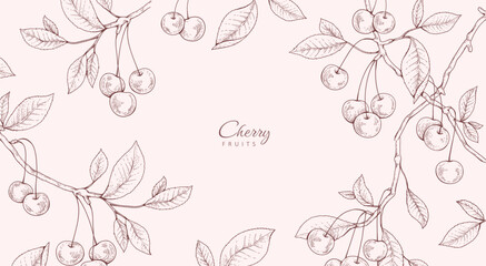 Naklejka premium Cherry fruit. Summer background with berry and brunch. Detailed hand drawn ink floral illustration for invitation, wallpaper art or save the date card
