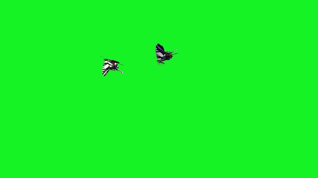 butterfly flying on sky Housefly Mosquitoes Swarm of flies bee flying 3d animation Green Screen Chroma Key Alpha Channel. 4k Video