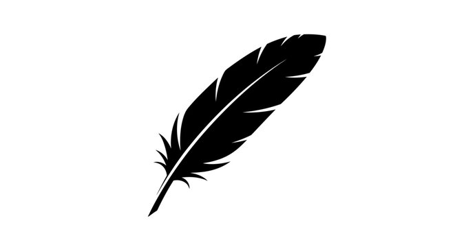 A single black feather against a plain white background.