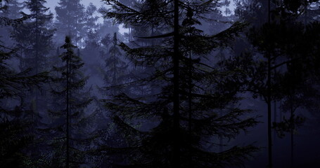 Naklejka premium A dark and enchanting forest is captured at twilight, with tall trees silhouetted against a soft glow. The atmosphere is calm yet mysterious, inviting exploration and wonder.