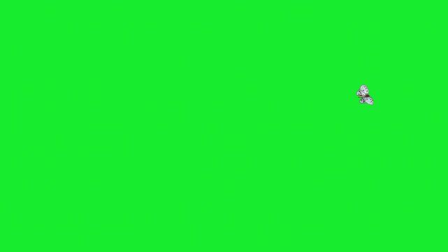butterfly flying on sky Housefly Mosquitoes Swarm of flies bee flying 3d animation Green Screen Chroma Key Alpha Channel. 4k Video