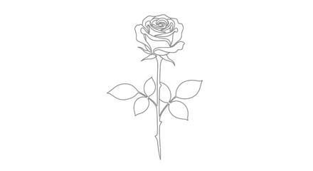 Elegant Rose Flower with Long Stem and Leaves, Continuous One Line Art Drawing © Line Home