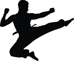 Obraz premium Black Silhouette of a Professional Martial Artist Performing a Powerful Mid-Air Flying Side Kick Isolated on White Background for Karate Taekwondo Sports Graphics