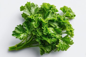 Fototapeta premium Crisp parsley leaves in a single bunch on white surface, natural color and texture