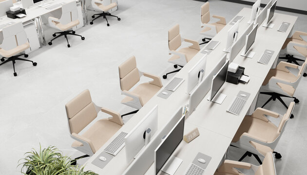 Modern open office with computer workstations and indoor plant