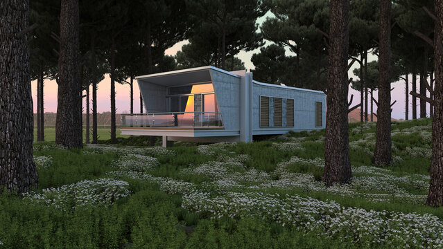 Modern 3d rendered house with concrete and tile in forest at sunset