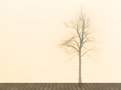 Bare tree casting shadow on brick wall in winter with minimalistic look