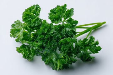 Fototapeta premium Fresh parsley bunch isolated on white background for close-up herb photography