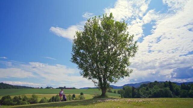 Active senior woman enjoying a peaceful golf day by a majestic tree in a rolling rural landscape. Focus on mental health, wellness, and the beauty of nature