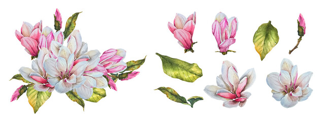 Fototapeta premium Set Magnolia flowers buds and green leaves watercolor illustration, elegant botanical style. Composition for wedding stationery cosmetics perfume packaging decor branding and spring national holidays.