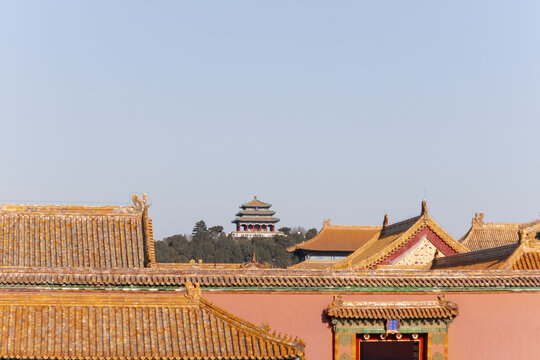 View of intricate rooftops adorned with golden tiles lead the eye toward a distant pagoda nestled among trees under a clear sky, Beijing, Beijing, China.