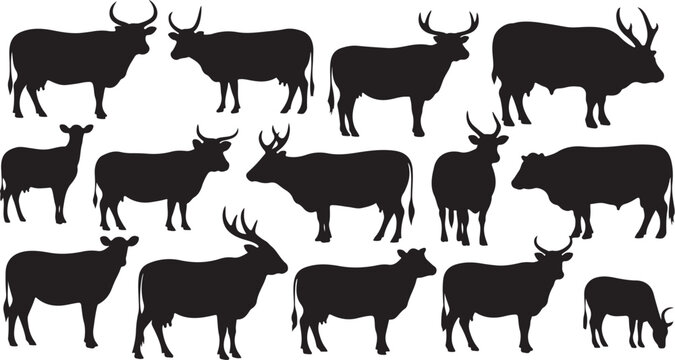 Collection of various black cow silhouettes on white background