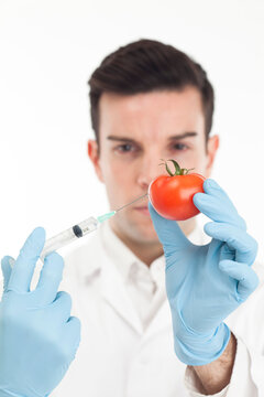Close-up Portrait of a Scientist in a laboratory injecting a tomato 