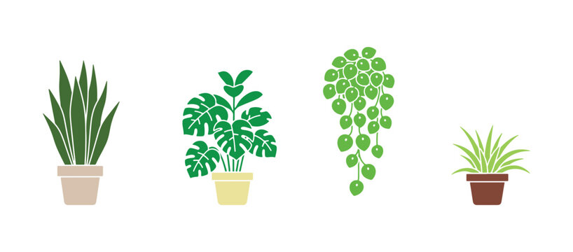 Set of four solid houseplant signs for decor and design use.