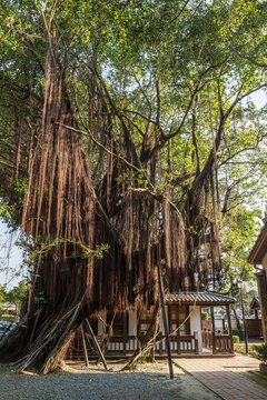Anping Tree House in Tainan, Taiwan