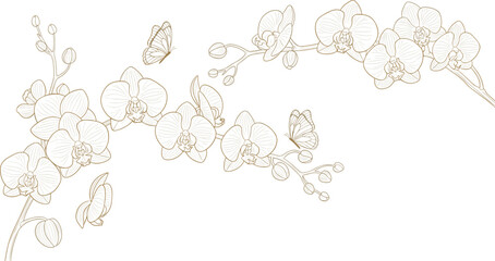Orchid flower line art set with butterflies. Elegant floral outline composition with blooming orchids and buds. Minimal botanical illustration isolated on white background. © IVY QUEEN