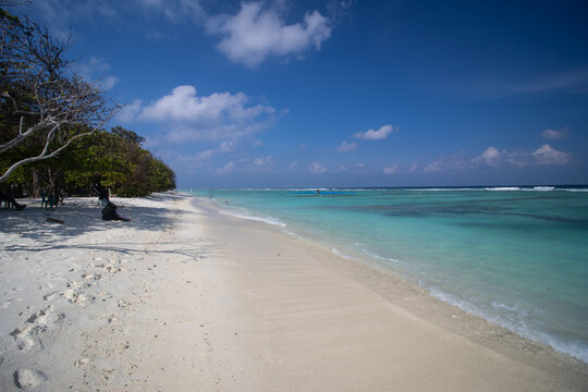 View of turquoise water meets the white sand beach beneath a vibrant blue sky dotted with fluffy clouds, a tropical haven of serenity, Male, Maldives.