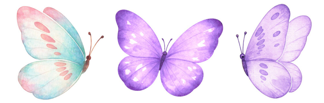 Watercolor pastel butterflies clipart set, purple blue butterfly illustration, soft watercolor sticker style, nursery decor, wedding design elements, printable png