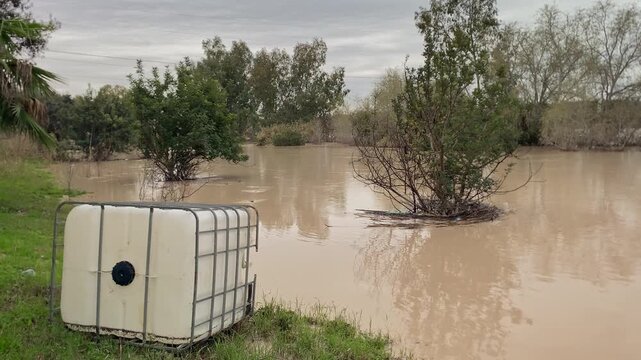 Seville river overflowing its banks submerging trees and surrounding land, showing effects of a natural disaster with an IBC tank resting on the grass