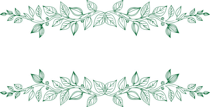 Botanical Leaf Frame Vector with Elegant Vine Border Minimal Line Art