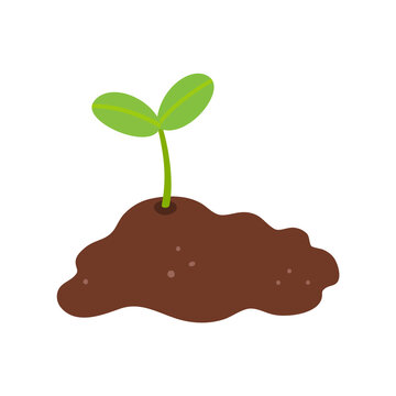 Sprout plant and soil. Spring garden design element.