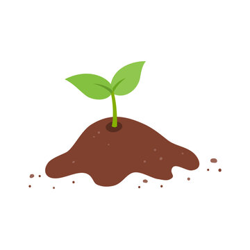 Sprout plant and soil. Spring garden design element.