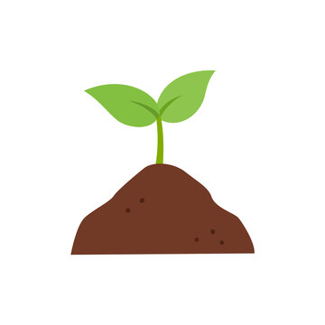 Sprout plant and soil. Spring garden design element.