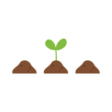 Sprout plant and soil. Spring garden design element.