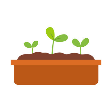 Sprouts and soil in a flowerpot. Spring garden design element.