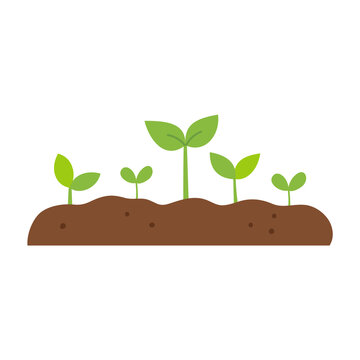 Sprouts and soil. Spring garden design element.