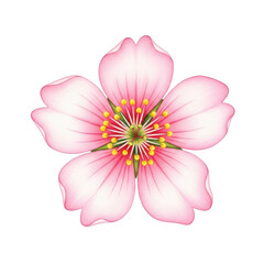 Fototapeta premium A pink flower with yellow stamens and green leaves isolated on transparent background