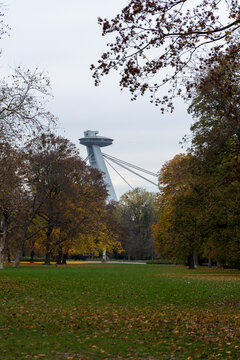 View of a futuristic bridge tower piercing through a frame of autumn leaves and green grass, a modern marvel against the soft, overcast sky, Bratislava, Bratislava Region, Slovakia.