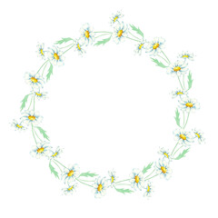 Obraz premium A hand-painted white floral wreath. Delicate daisy flowers are intertwined with elegant stems to form a graceful circle.