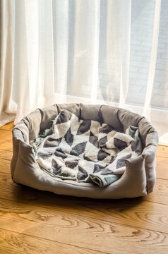 Cozy and empty pet bed with a soft patterned blanket, waiting on a wooden floor in a sunlit room.