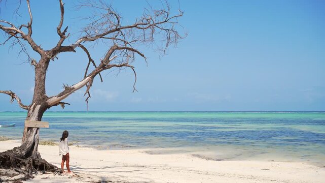 Young pretty woman standing by dramatic ancient tree on a pristine Zanzibar beach on low tide. Wide panoramic view of turquoise Indian Ocean waters under a clear blue sky in Tanzania