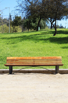 Wooden Park Bench on Bright Green Lawn with Trees and Sunlit Landscape