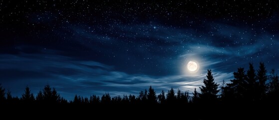 Fototapeta premium Night landscape with trees moon and stars